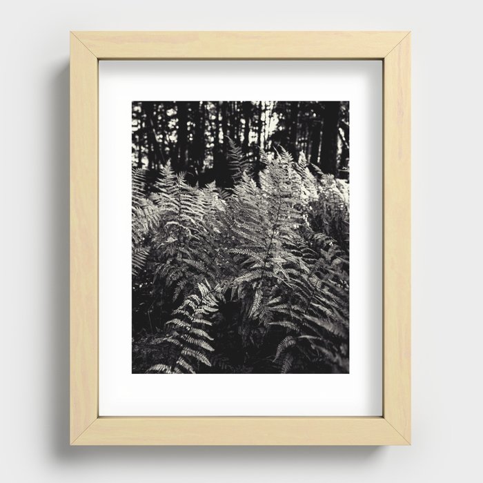 ferns in black and white Recessed Framed Print