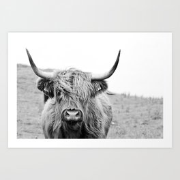 Close-up view of a highland cattle Art Print