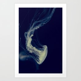 La méduse solitaire (2) Art Print