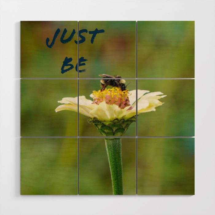 Just Be on a Zinnia Wood Wall Art