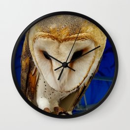 Mr. Owl the Barn Owl Wall Clock