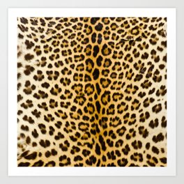 Leopard skin pattern, snimsl print Art Print | Leo, Wild, Cats, Patterns, Fur, Skin, Animal, Big, Hair, Hide 