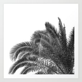 Summer Palm Leaf Print {3 of 3} | B&W Black and White Sun Sky Beach Vibes Tropical Plant Nature Art Art Print