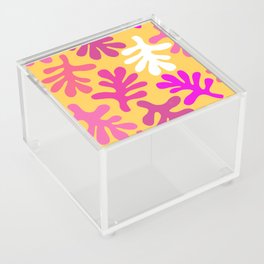 Optimistic Ferns Acrylic Box
