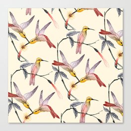 Hummingbirds Canvas Print