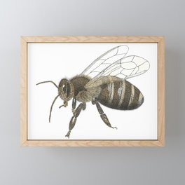 Bee Framed Mini Art Print