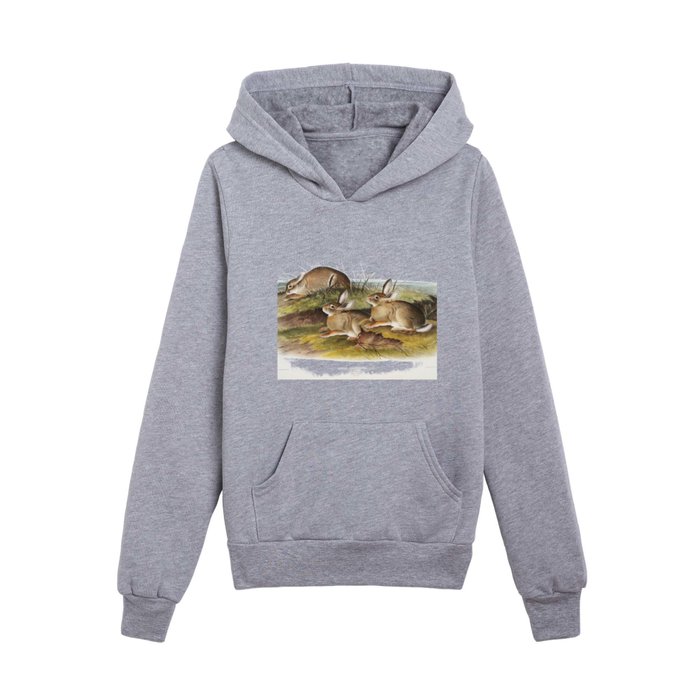 Warm Wood Hare from the viviparous quadrupeds of North America (1845) illustrated by John James Audubon Kids Pullover Hoodie