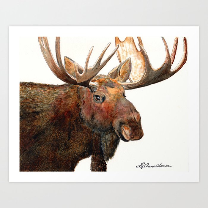 Michelangelo Moose Art Print