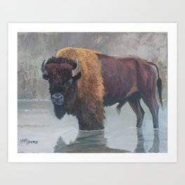 Bison Reflections Art Print