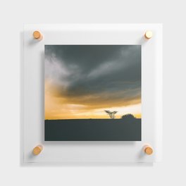 South Africa Photography - The Silhouette Of A Savannah Floating Acrylic Print