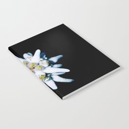 Edelweiss bloom Notebook