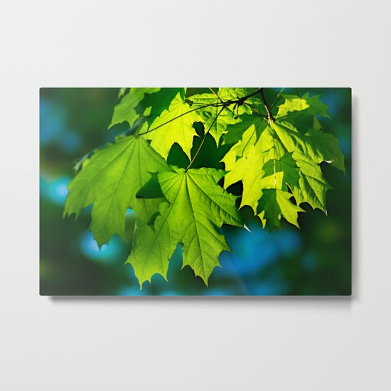 Tales From The Maple Wood Metal Print