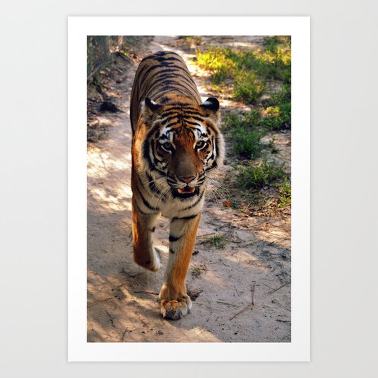 Rahja Art Print