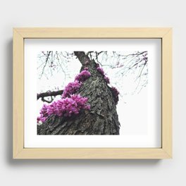 Flowers on Tree Recessed Framed Print