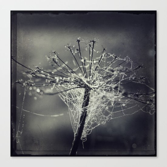 chandelier Canvas Print