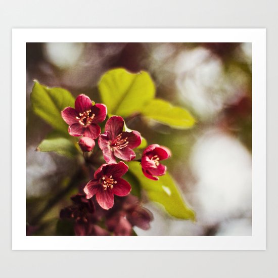 The Color Purple Art Print