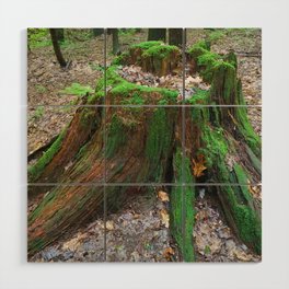 Heart of the Forest Wood Wall Art