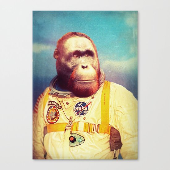 Voyager Canvas Print
