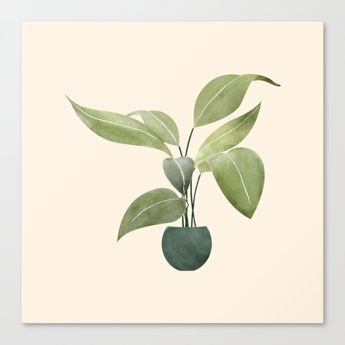 Watercolor potted plant Canvas Print