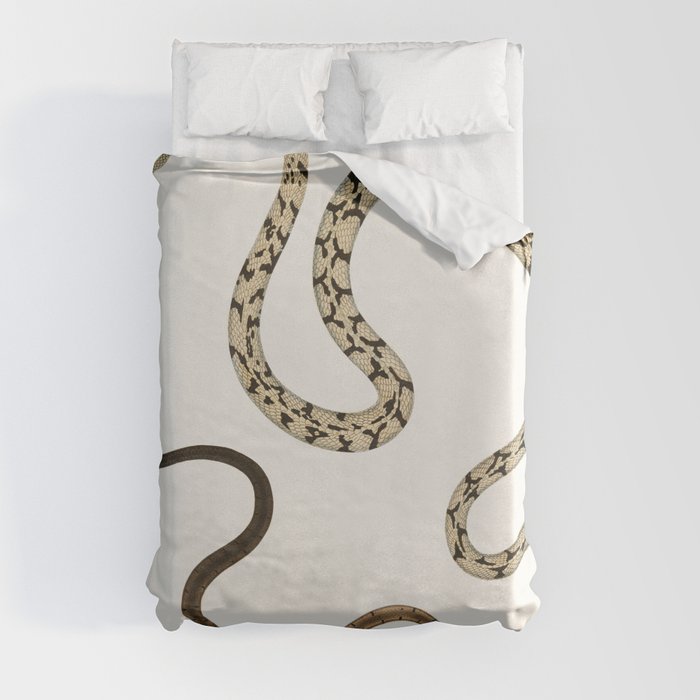 Dipsus Gocool & Black Headed Lycodon Duvet Cover