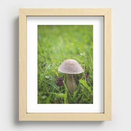 Mushroom in the Morning Dew by Althéa Photo Recessed Framed Print