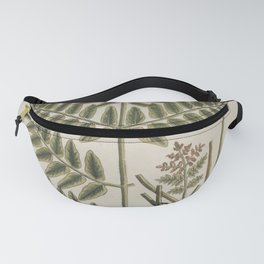 Vintage Botanical Print - A Curious Herbal, 1737 - 324 Osmond-Royal, or Water Fern Fanny Pack