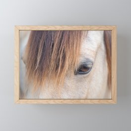 Chincoteague Island Pony Framed Mini Art Print