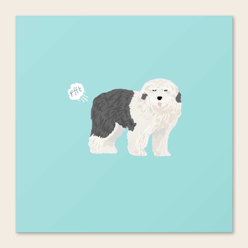 cute old english sheepdog