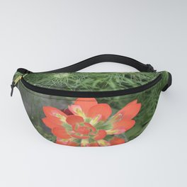 Nothing Rhymes With Orange Fanny Pack