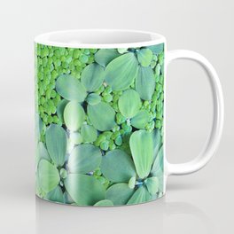 Water plants Coffee Mug