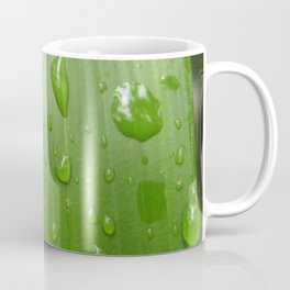 Water Drops on a Bamboo Leaf Coffee Mug