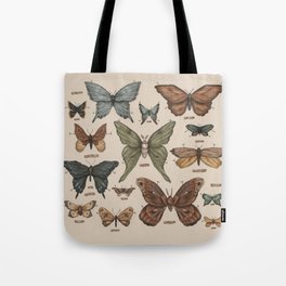 Butterflies and Moth Specimens Tote Bag
