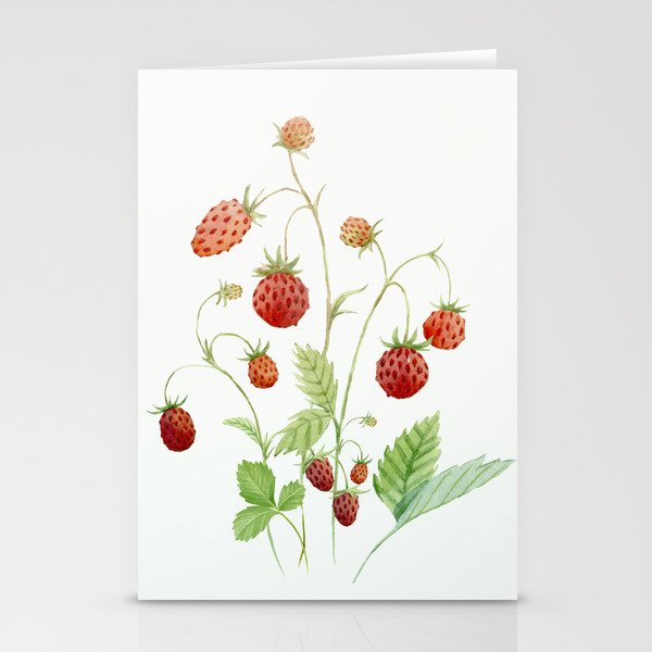 Wild Strawberries Stationery Cards
