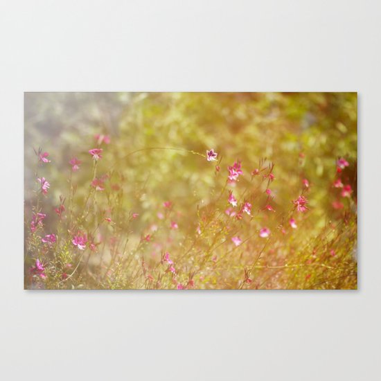 Summer Garden Canvas Print