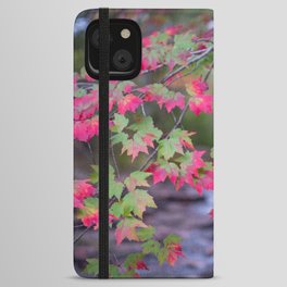 Autumn Riches - Fall Leaves Over Running Water, Great Head Trail, Acadia National Park, Maine, USA iPhone Wallet Case