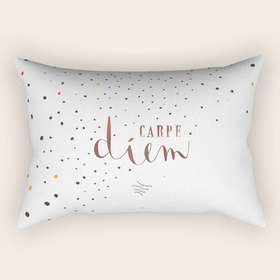 Carpe Diem Rectangular Pillow