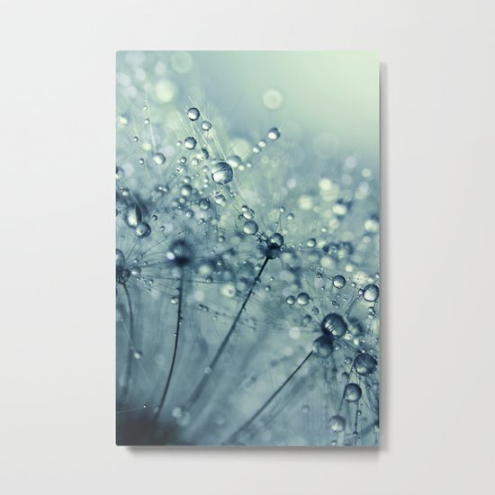 Dandy in Midnight Blue Metal Print