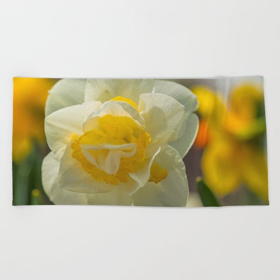 Daffodil sunshine Beach Towel