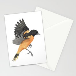 Baltimore Oriole Stationery Cards
