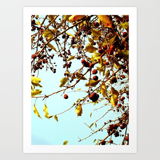 cherries in autumn Art Print