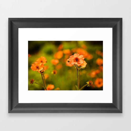 Wild Free Spirit Framed Art Print