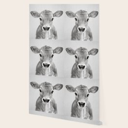 society6