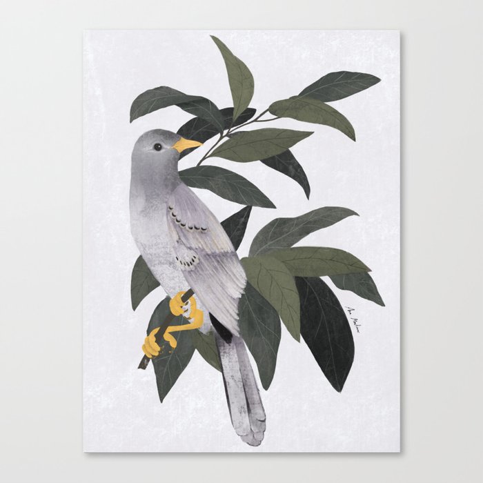 Bird in the forest Canvas Print