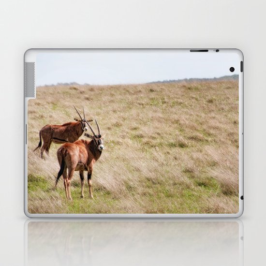 Wide open spaces Laptop & iPad Skin