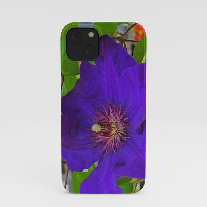Passion Flower iPhone Case