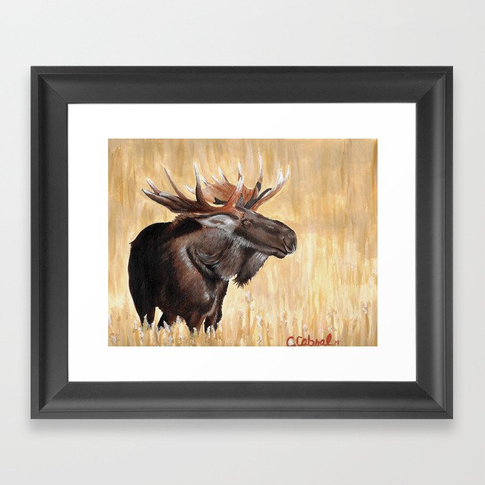 Moose-19 Framed Art Print