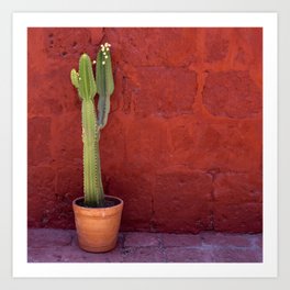 Mexico Photography - Small Cactus In Front Of A Red Brick Wall Art Print