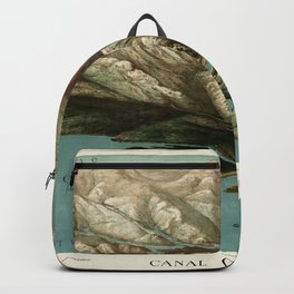 Map Of Panama Canal 1881 Backpack