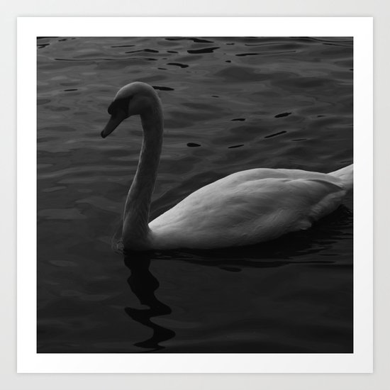 Swan Art Print