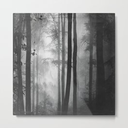 Summer Forest in Black and White Metal Print